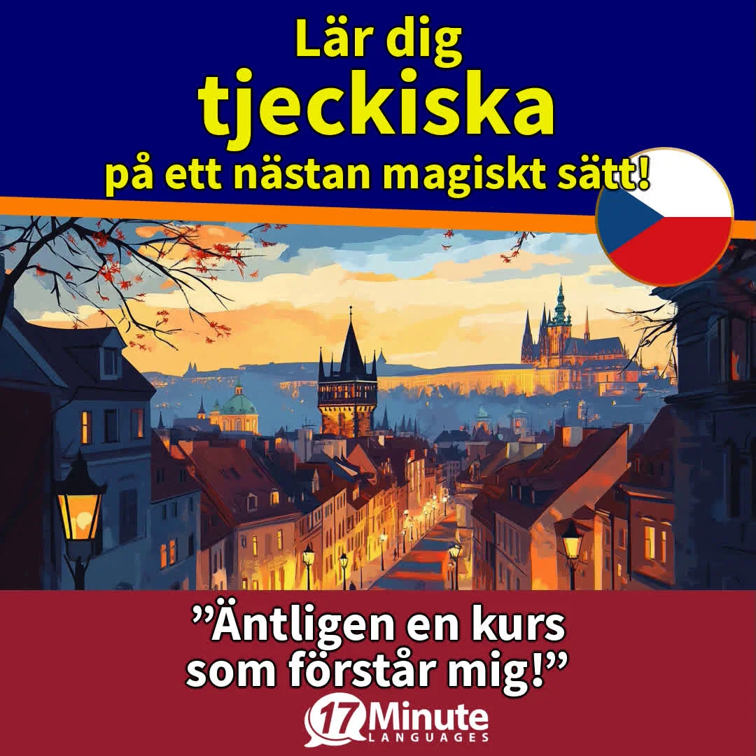 Basiskurs