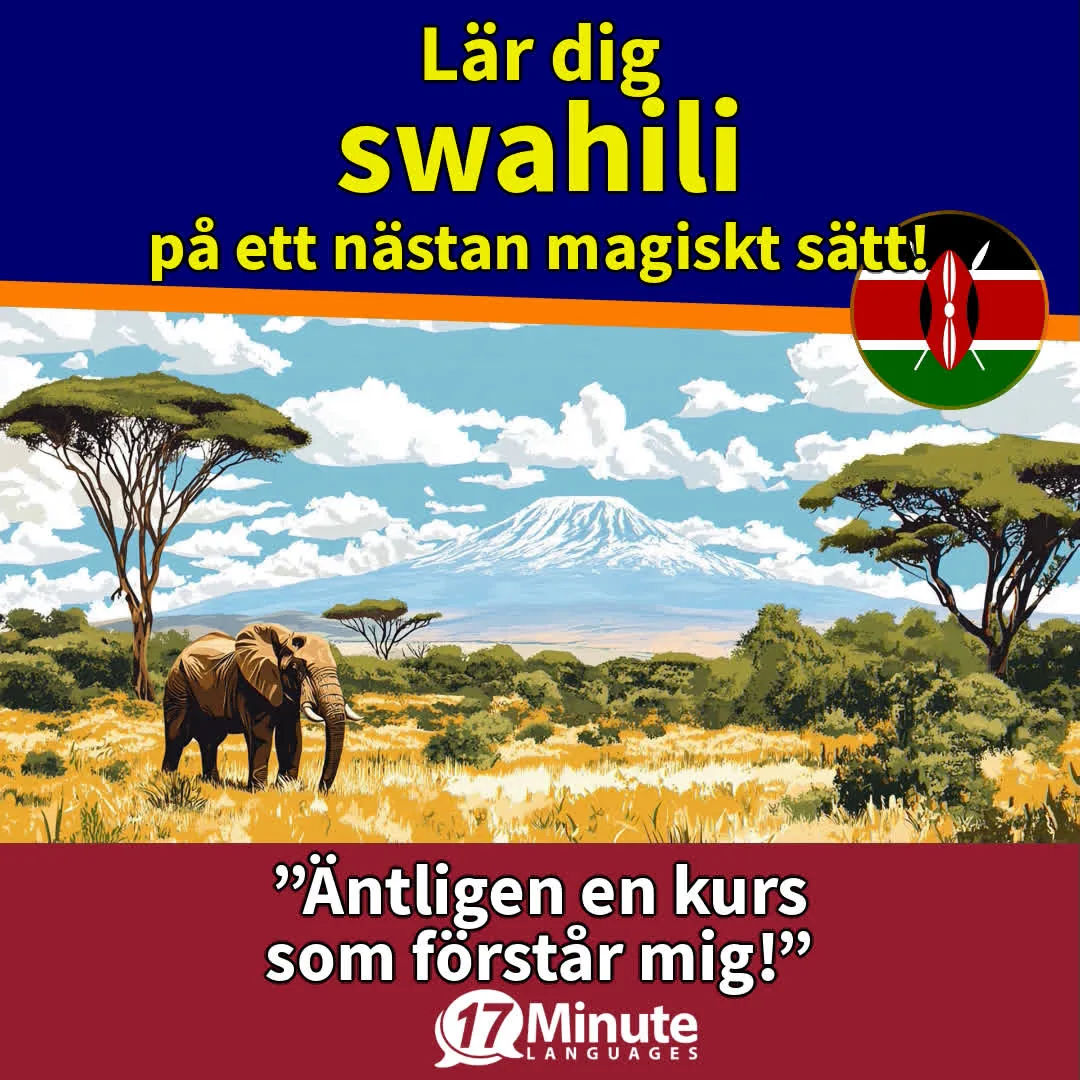 Aufbaukurs